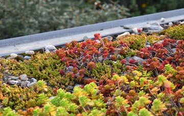 the cost of Trinity Fields green roof installation