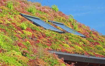 Trinity Fields living roof systems