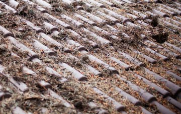 Trinity Fields roof cleaning companies