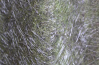 Trinity Fields fibreglass roof work